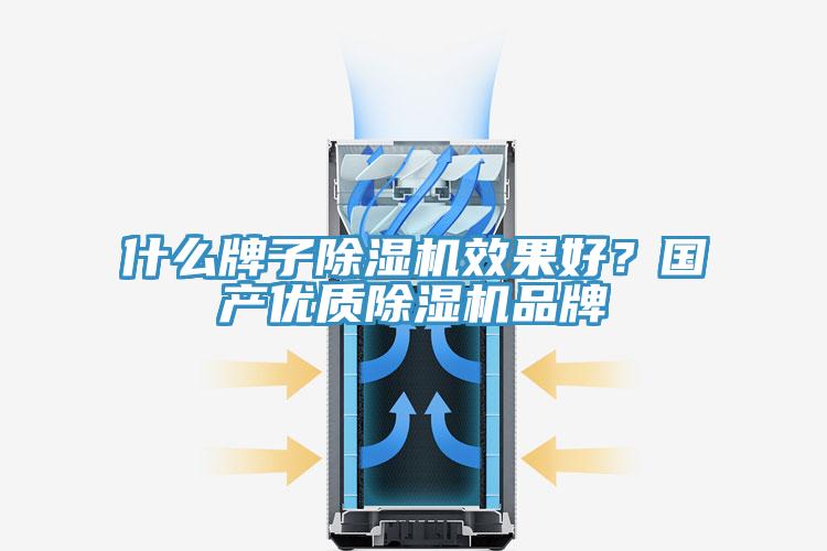 什么牌子除濕機(jī)效果好？國產(chǎn)優(yōu)質(zhì)除濕機(jī)品牌