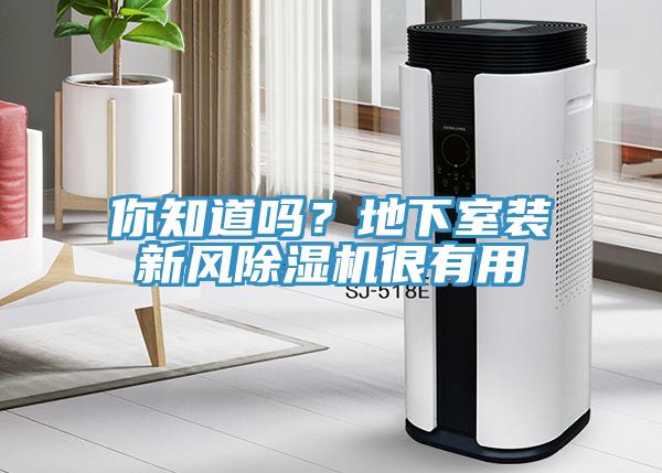 你知道嗎？地下室裝新風除濕機很有用