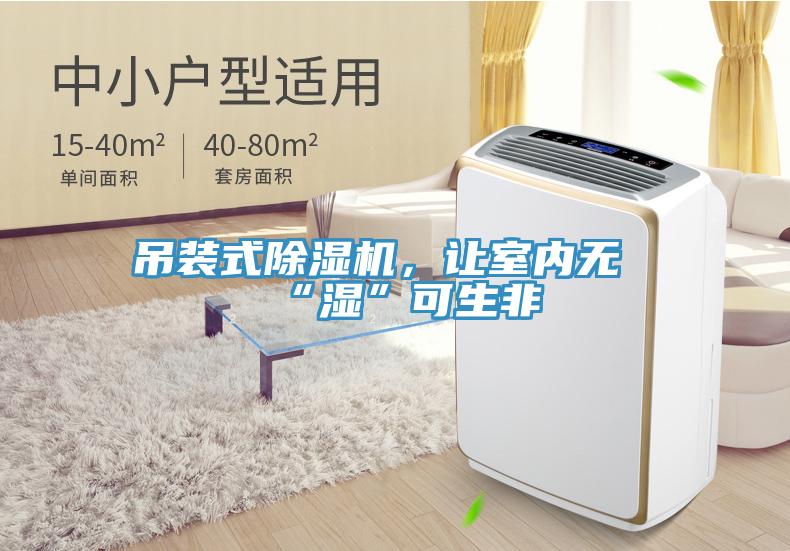 吊裝式除濕機(jī)，讓室內(nèi)無“濕”可生非