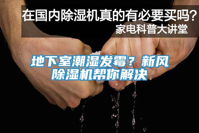 地下室潮濕發(fā)霉？新風(fēng)除濕機(jī)幫你解決