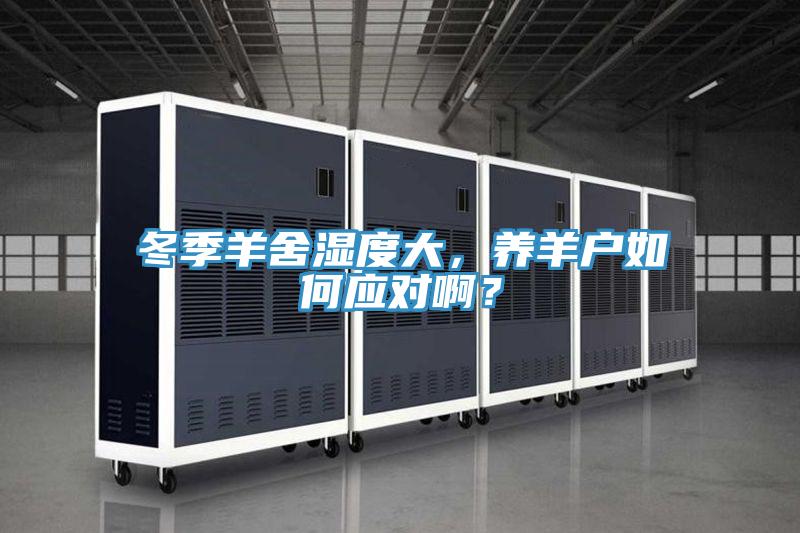 冬季羊舍濕度大，養(yǎng)羊戶如何應(yīng)對??？