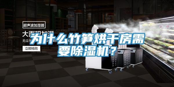 為什么竹筍烘干房需要除濕機？
