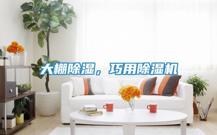 大棚除濕，巧用除濕機