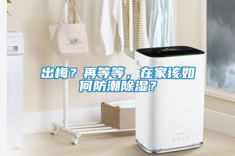 出梅？再等等，在家該如何防潮除濕？