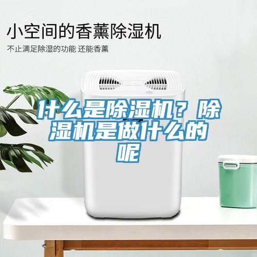 什么是除濕機(jī)？除濕機(jī)是做什么的呢