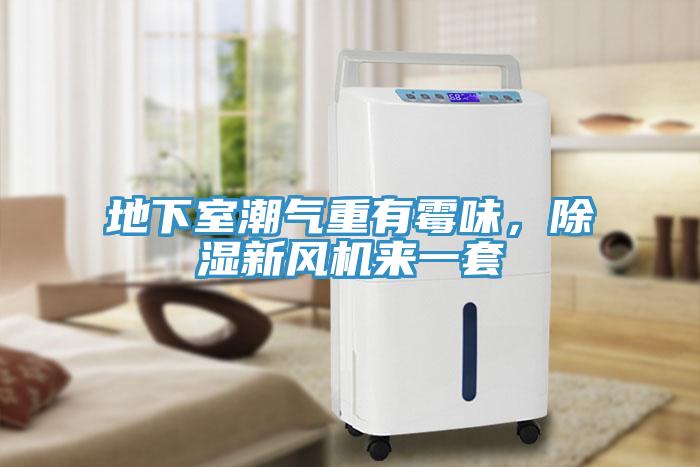 地下室潮氣重有霉味，除濕新風(fēng)機(jī)來(lái)一套