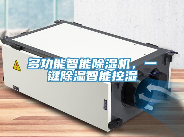 多功能智能除濕機(jī)，一鍵除濕智能控濕