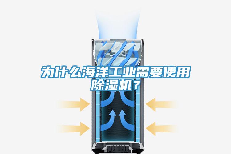 為什么海洋工業(yè)需要使用除濕機(jī)？