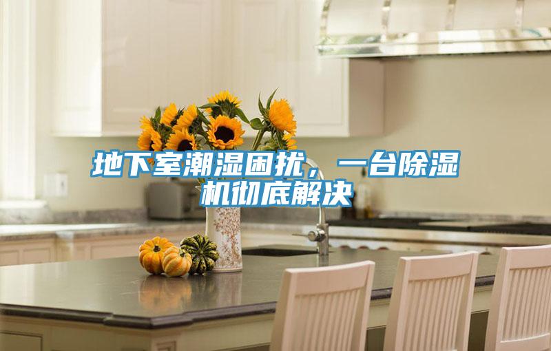 地下室潮濕困擾，一臺除濕機徹底解決