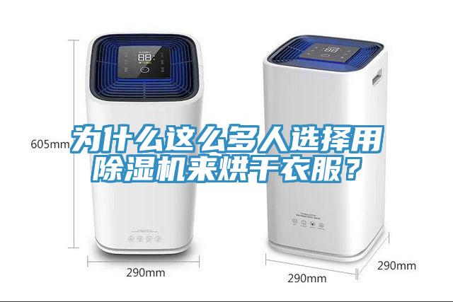 為什么這么多人選擇用除濕機來烘干衣服？