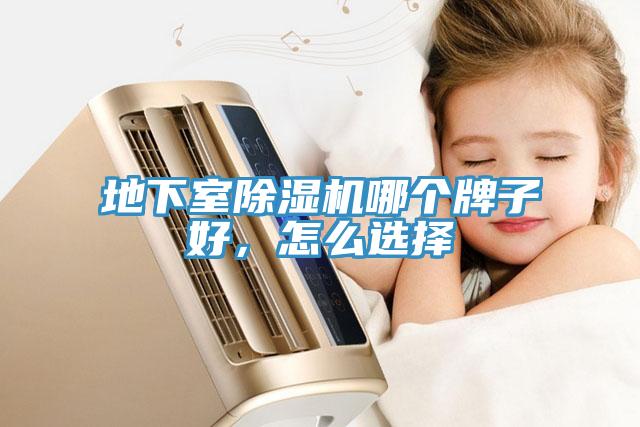 地下室除濕機哪個牌子好，怎么選擇