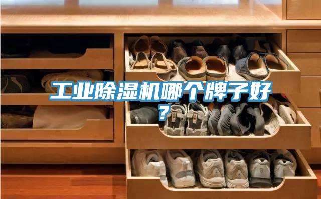 工業(yè)除濕機(jī)哪個(gè)牌子好？