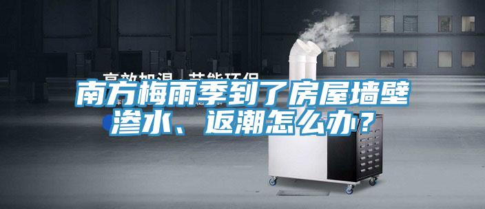 南方梅雨季到了房屋墻壁滲水、返潮怎么辦？
