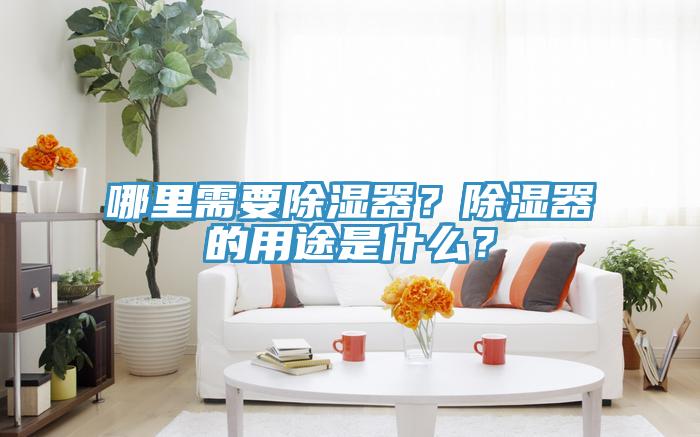 哪里需要除濕器？除濕器的用途是什么？