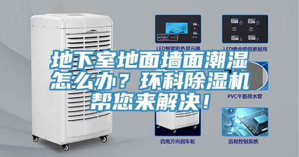 地下室地面墻面潮濕怎么辦？環(huán)科除濕機幫您來解決！
