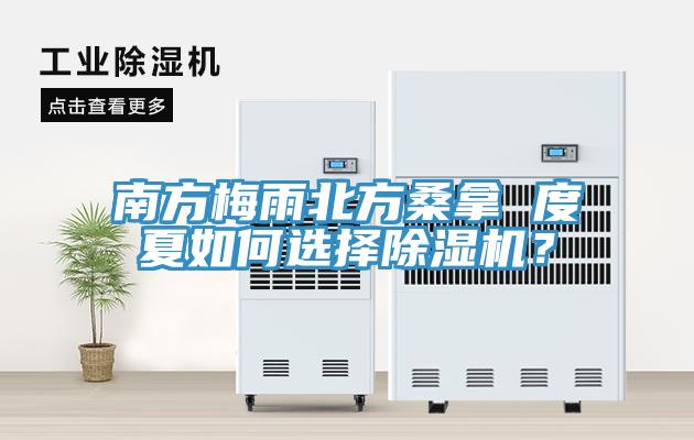 南方梅雨北方桑拿 度夏如何選擇除濕機？