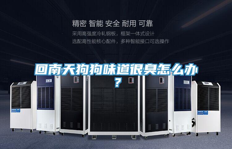 回南天狗狗味道很臭怎么辦？