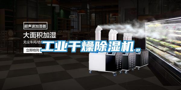 工業(yè)干燥除濕機(jī)。