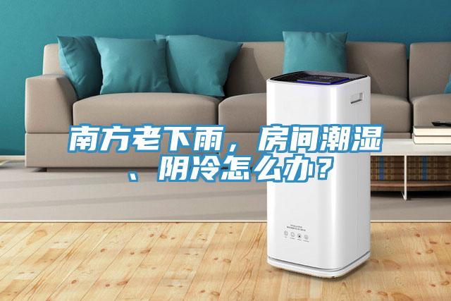 南方老下雨，房間潮濕、陰冷怎么辦？