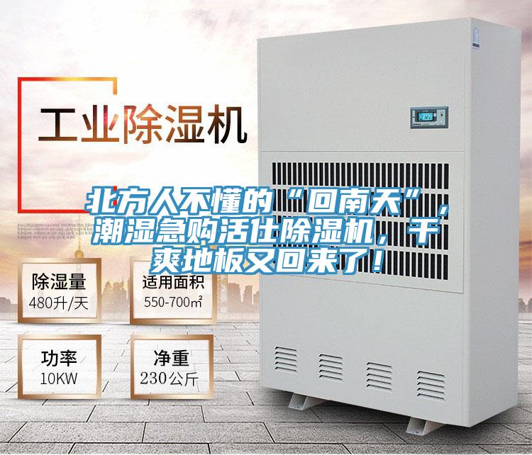 北方人不懂的“回南天”，潮濕急購活仕除濕機(jī)，干爽地板又回來了！