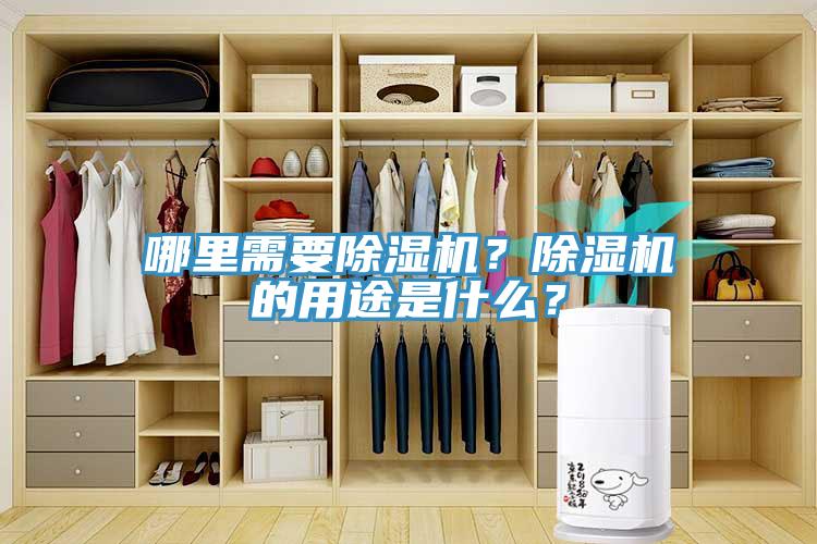 哪里需要除濕機(jī)？除濕機(jī)的用途是什么？