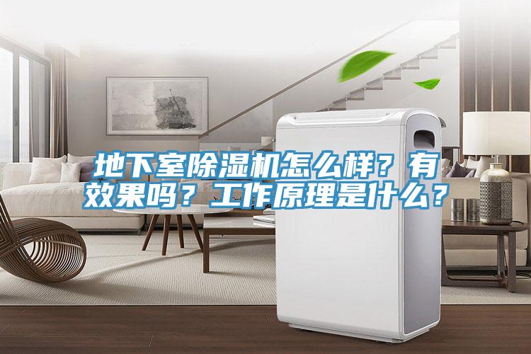 地下室除濕機(jī)怎么樣？有效果嗎？工作原理是什么？