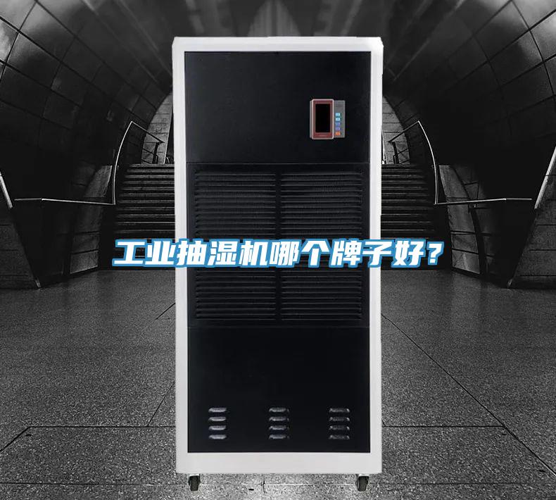 工業(yè)抽濕機(jī)哪個(gè)牌子好？
