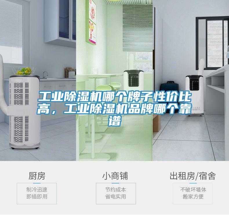 工業(yè)除濕機(jī)哪個牌子性價比高，工業(yè)除濕機(jī)品牌哪個靠譜