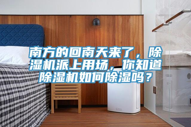 南方的回南天來了，除濕機派上用場，你知道除濕機如何除濕嗎？