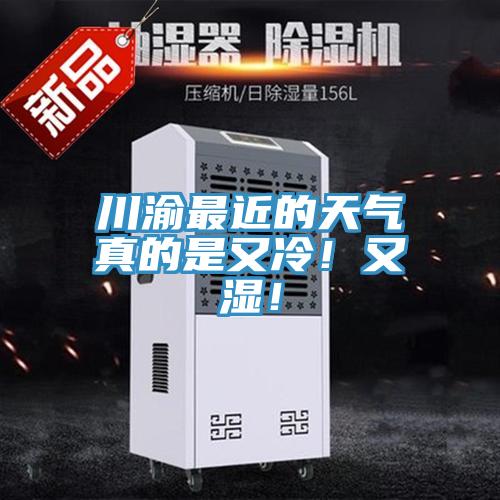 川渝最近的天氣真的是又冷！又濕！