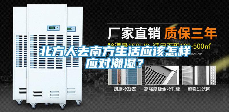 北方人去南方生活應(yīng)該怎樣應(yīng)對潮濕？