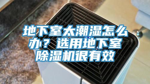 地下室太潮濕怎么辦？選用地下室除濕機(jī)很有效