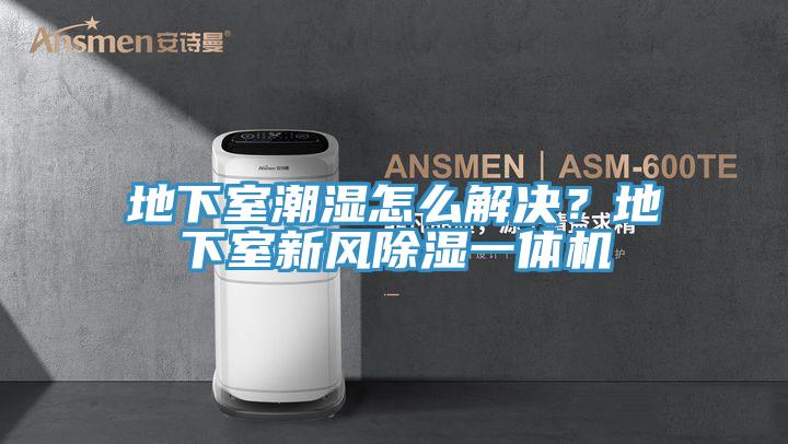 地下室潮濕怎么解決？地下室新風(fēng)除濕一體機(jī)