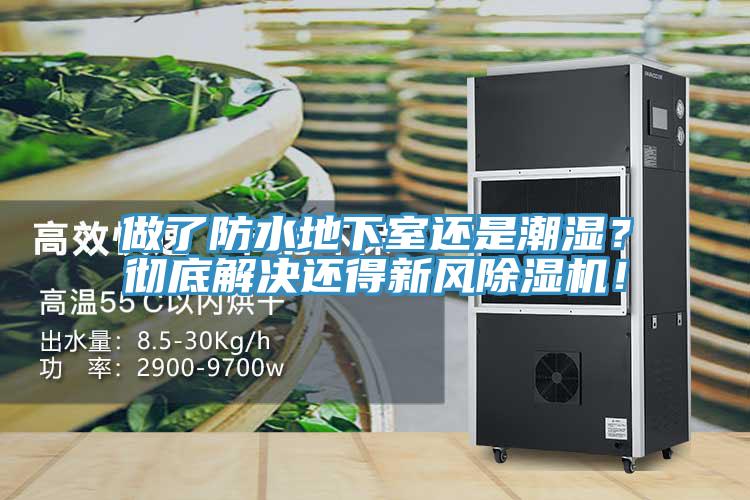 做了防水地下室還是潮濕？徹底解決還得新風除濕機！