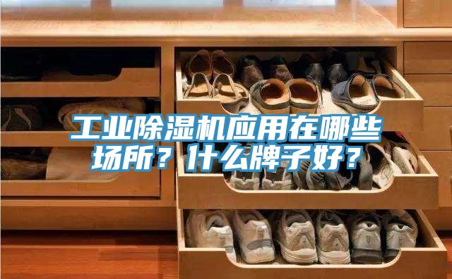 工業(yè)除濕機應用在哪些場所？什么牌子好？
