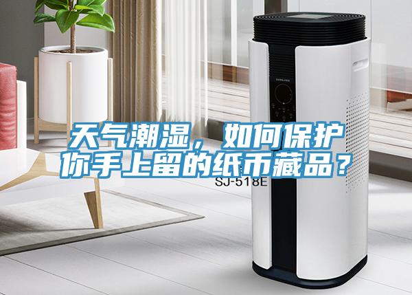 天氣潮濕，如何保護(hù)你手上留的紙幣藏品？