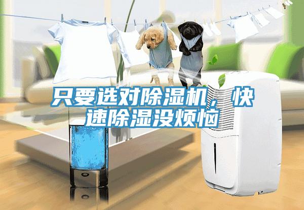 只要選對除濕機(jī)，快速除濕沒煩惱