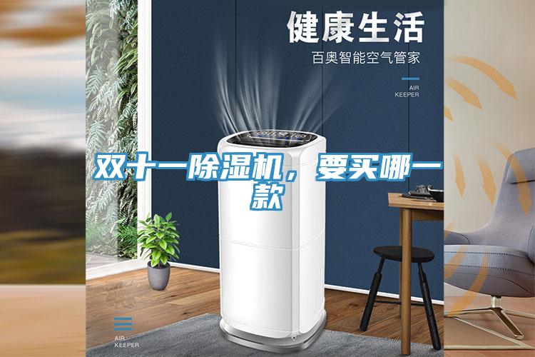 雙十一除濕機，要買哪一款