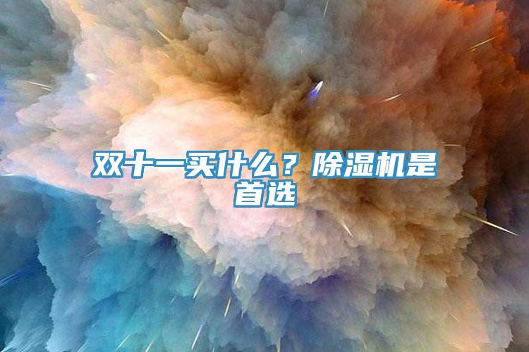 雙十一買什么？除濕機是首選
