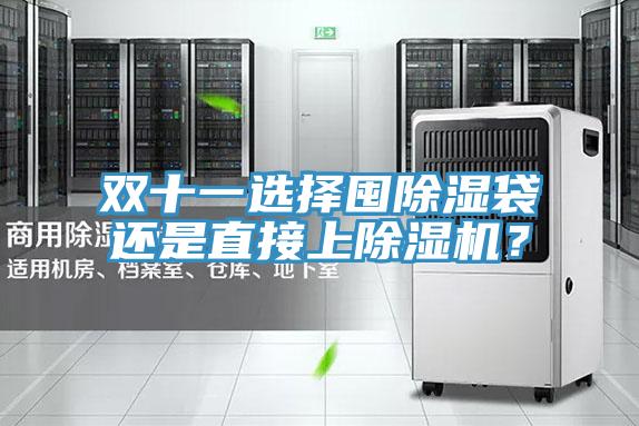雙十一選擇囤除濕袋還是直接上除濕機(jī)？