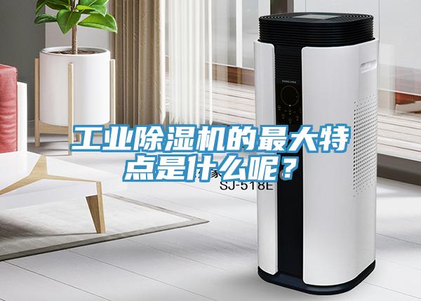 工業(yè)除濕機的最大特點是什么呢？