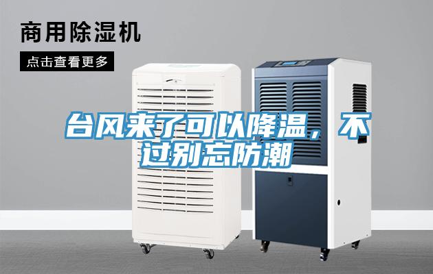 臺風來了可以降溫，不過別忘防潮