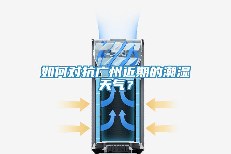 如何對(duì)抗廣州近期的潮濕天氣？