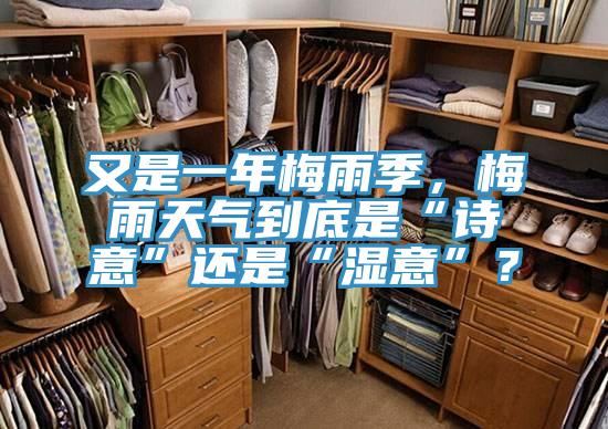 又是一年梅雨季，梅雨天氣到底是“詩意”還是“濕意”？