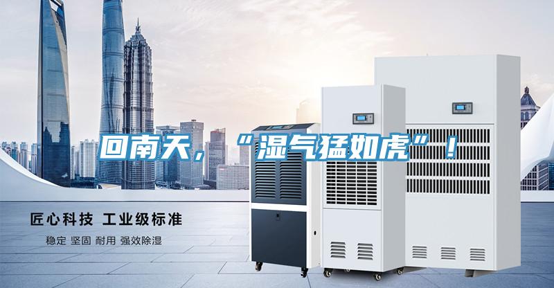 回南天，“濕氣猛如虎”！