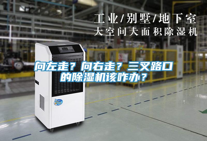 向左走？向右走？三叉路口的除濕機該咋辦？