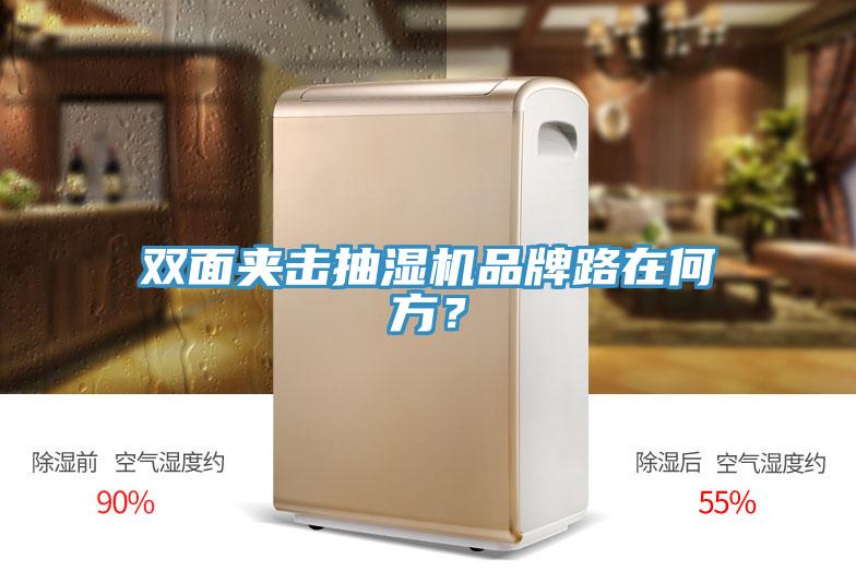 雙面夾擊抽濕機(jī)品牌路在何方？