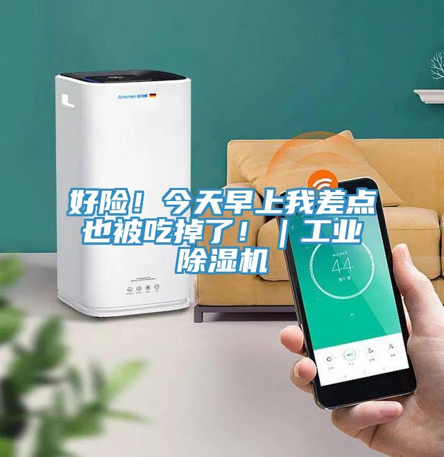 好險！今天早上我差點也被吃掉了?。I(yè)除濕機