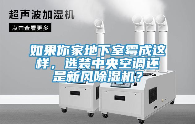 如果你家地下室霉成這樣，選裝中央空調還是新風除濕機？