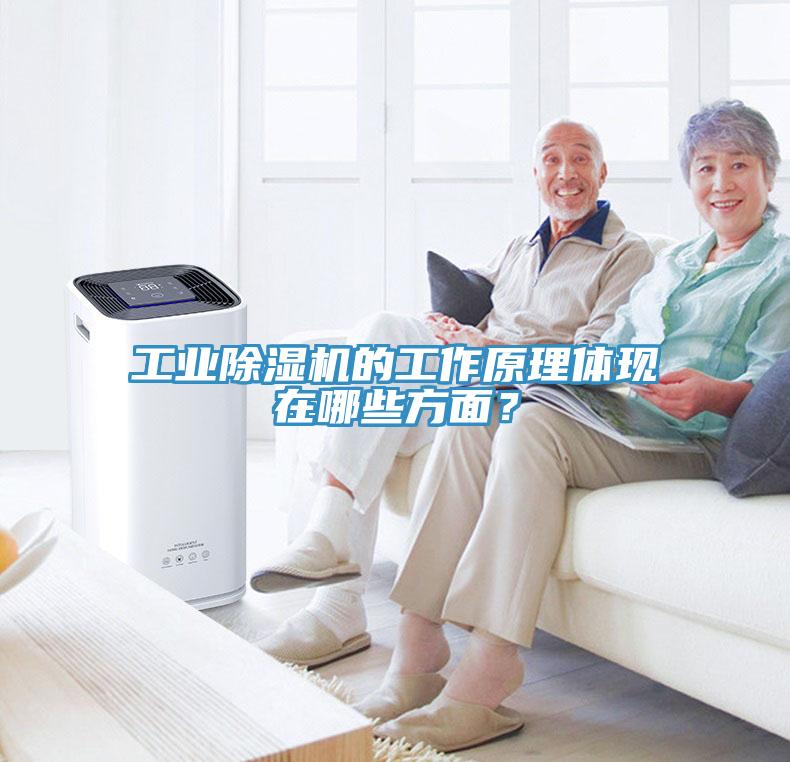 工業(yè)除濕機的工作原理體現(xiàn)在哪些方面？